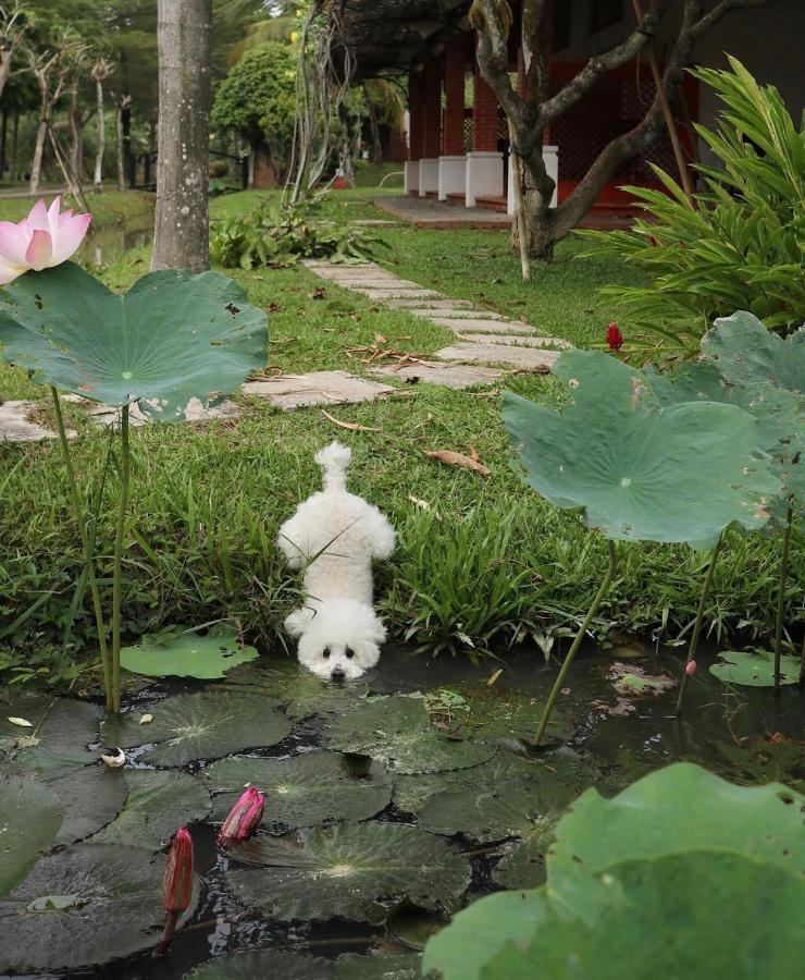 ลิ อามู เด โลริองต์ เรสซิเดนซ์ Hotel โฮจิมินห์ซิตี้ ภายนอก รูปภาพ