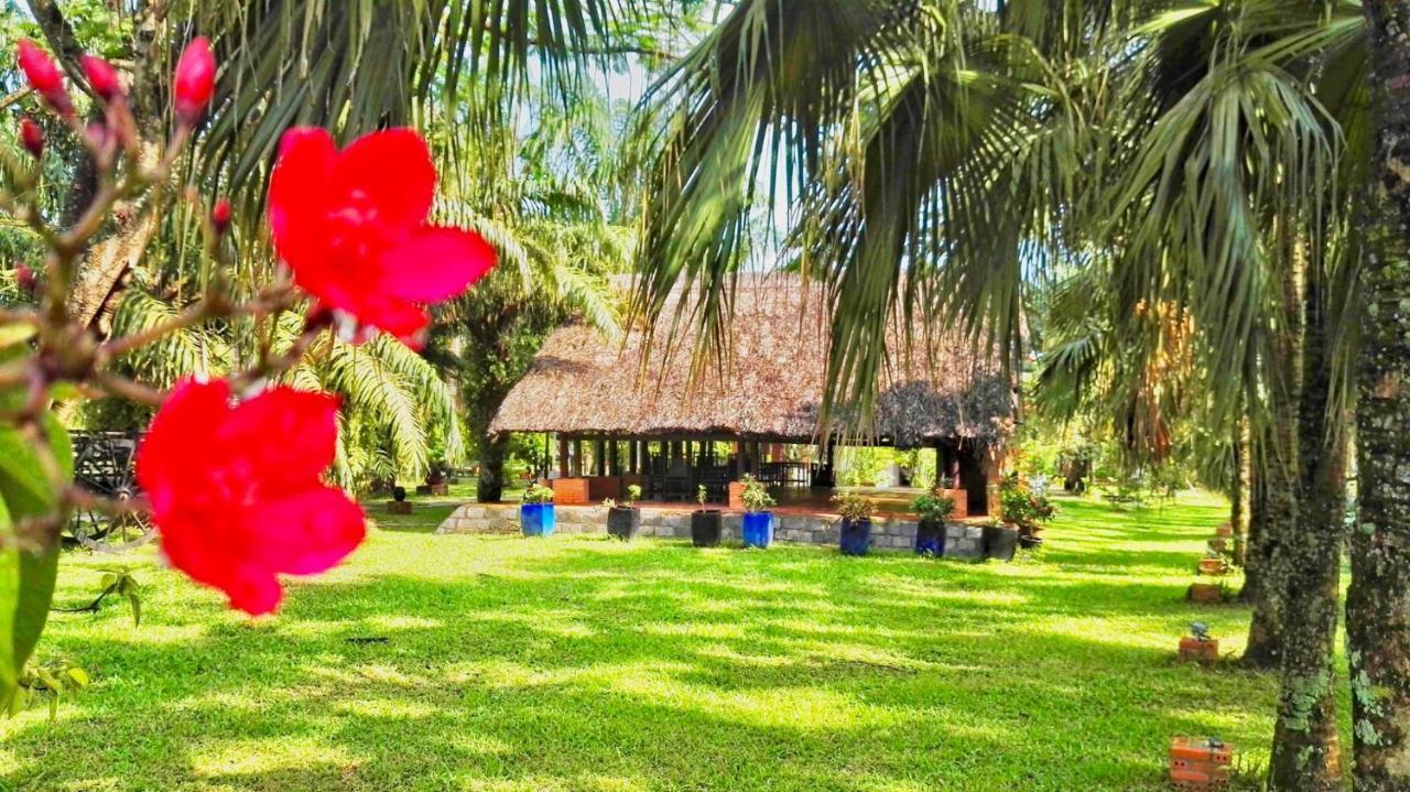 ลิ อามู เด โลริองต์ เรสซิเดนซ์ Hotel โฮจิมินห์ซิตี้ ภายนอก รูปภาพ